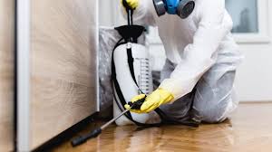 Best Residential Pest Control  in Coupeville, WA